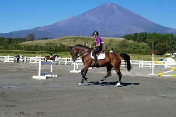 苅谷乗馬クラブ