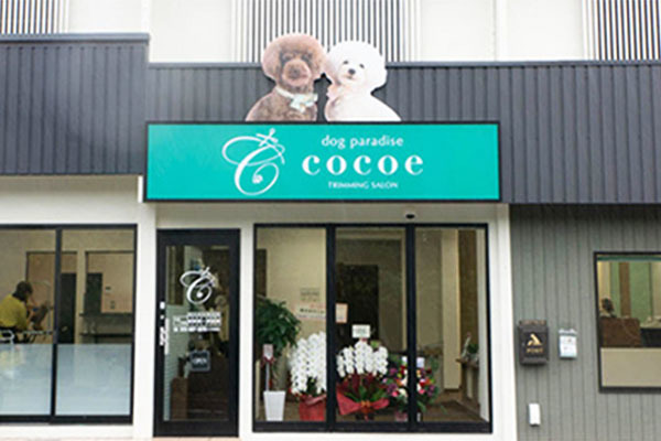 dog paradise Cocoe 枚方店