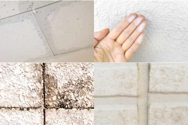 株式会社山桂 三鷹支店