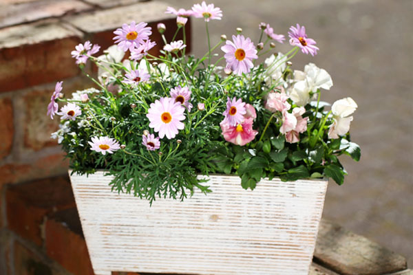 有限会社風のみどり塾 農場