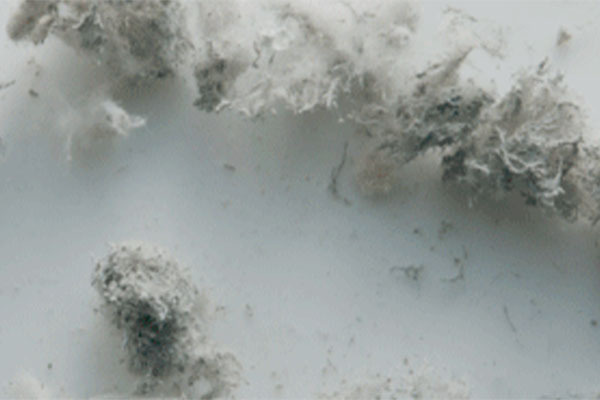 株式会社ワイズアソシエイション