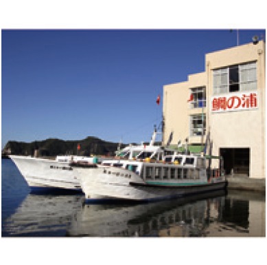 鯛の浦遊覧船