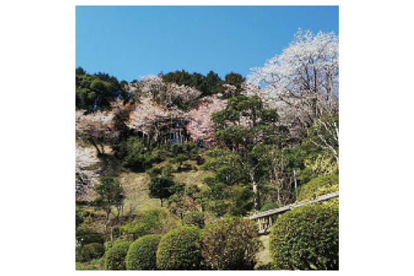 有限会社谷造園