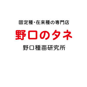 野口のタネ