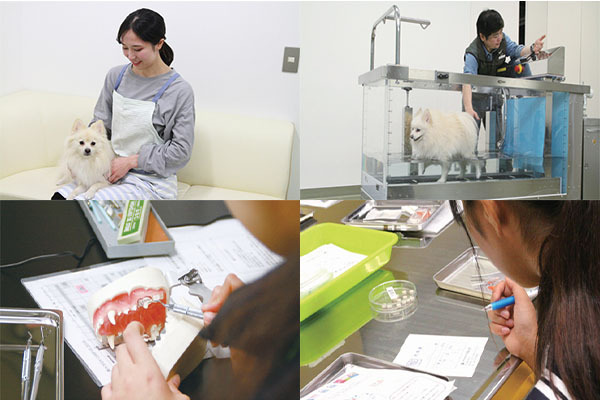 ヤマザキ動物看護専門職短期大学 1号館