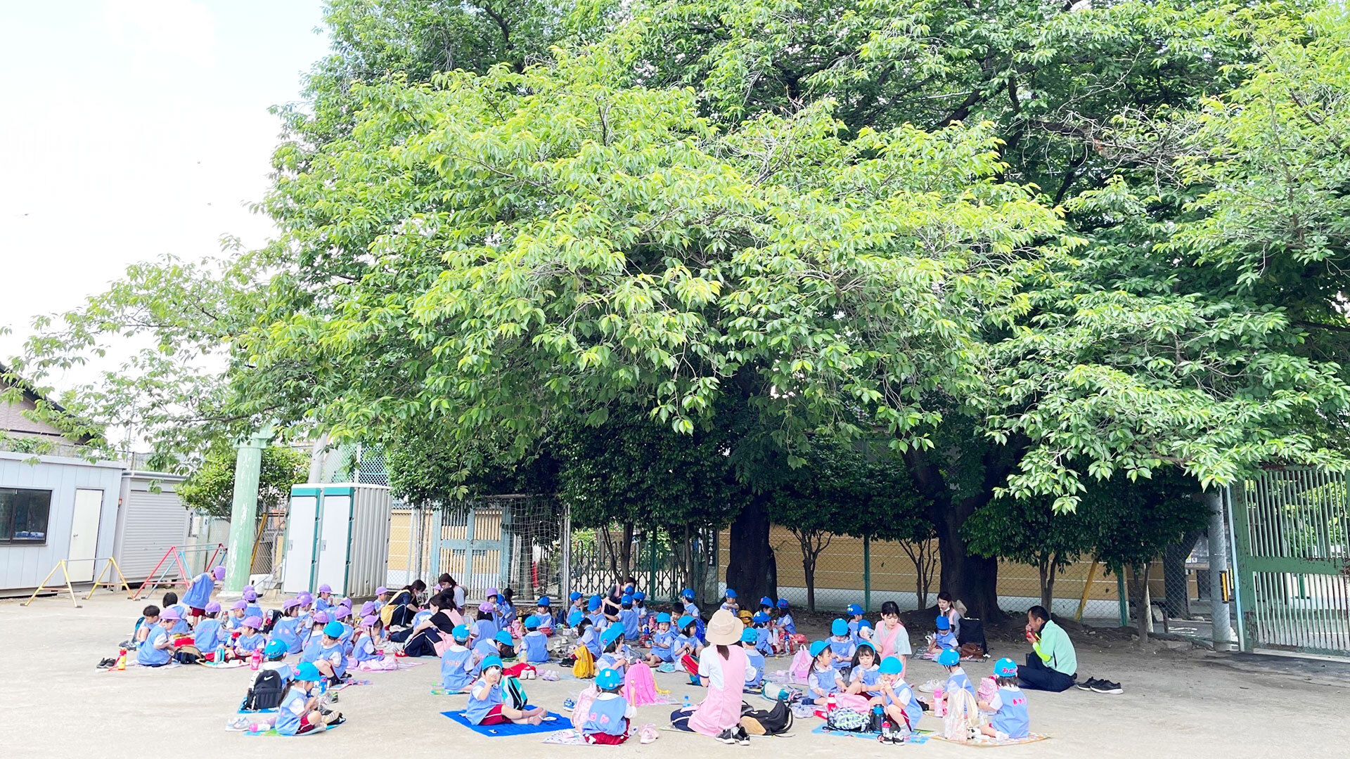 菩提樹の森幼稚園