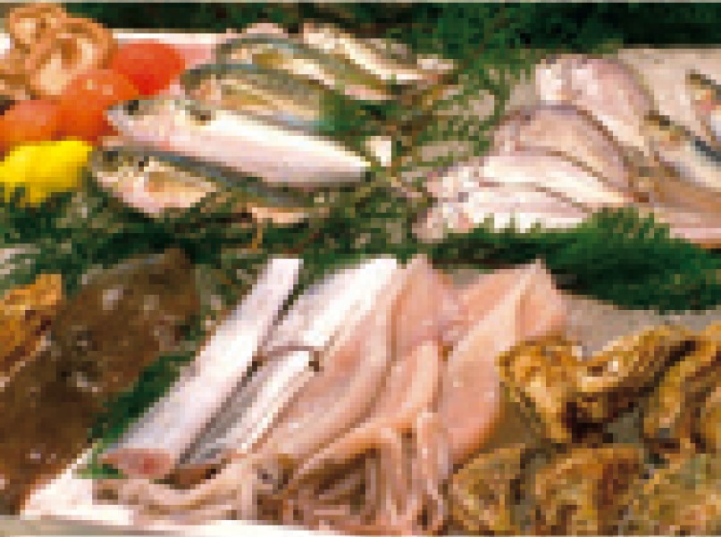 豊後ろばた焼天馬