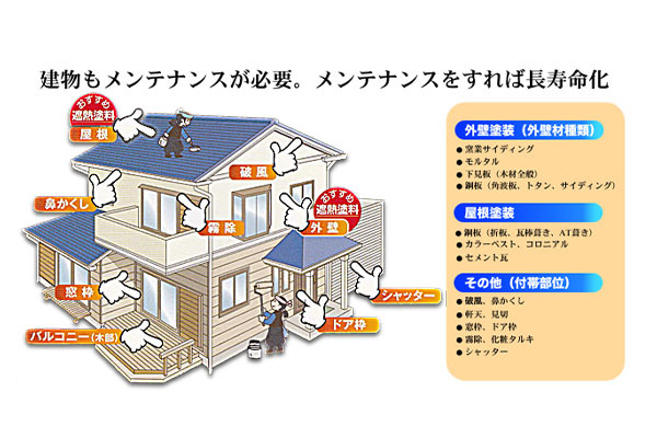 ビルダーズ嵐誠