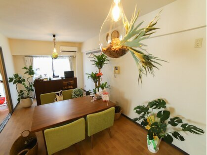 Dione(ディオーネ) 大府店