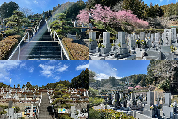 藤枝霊園