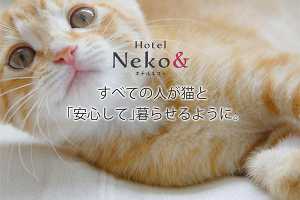 猫専門ペットホテル ネコト
