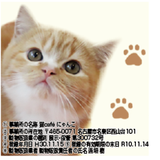猫Cafe にゃんこ