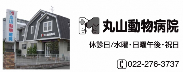 丸山動物病院