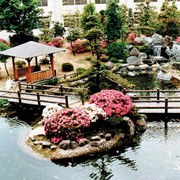 かんぽの宿　石和