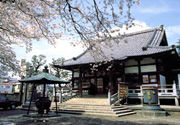 新井薬師寺梅照院
