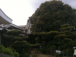 謝徳山 報恩寺