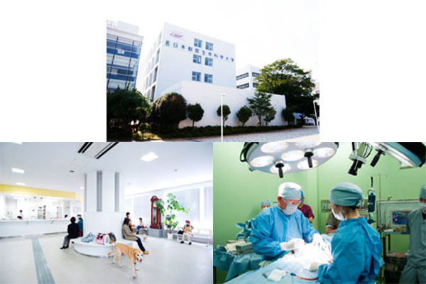 日本獣医生命科学大学 東京都武蔵野市 私立大学 E Navita イーナビタ 駅周辺 街のスポット情報検索サイト