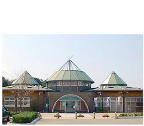 みなまた観光物産館まつぼっくり