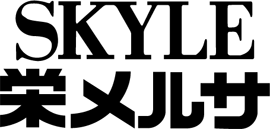 栄開発(栄ビル)