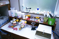 にしかわ歯科医院