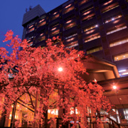 グランディア芳泉