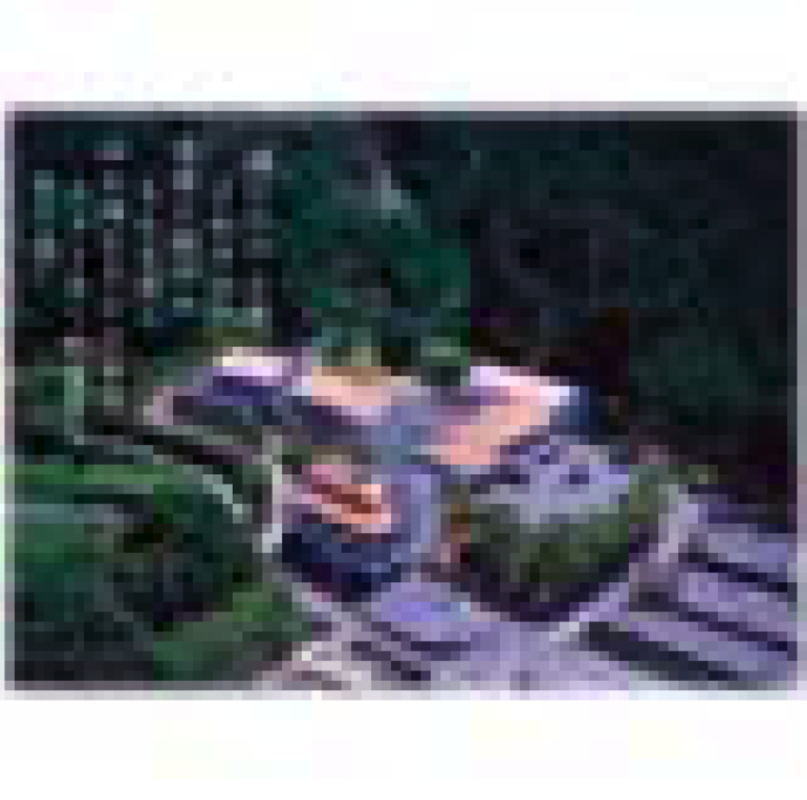 保養センター美榛苑