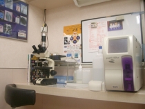 けやき動物病院