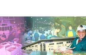 金沢港いきいき魚市