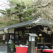 松島茶店
