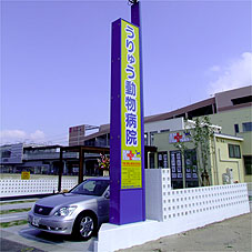 うりゅう動物病院