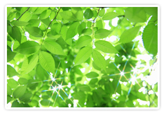 フィールカイロブティック