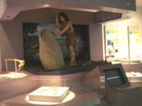 西合志郷土資料館