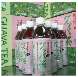 グァバ生産組合