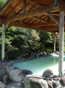 富嶽温泉 花の湯