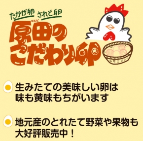 山崎幹男養鶏場