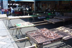 魚河岸 サスヨ海産市場