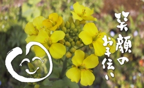 社会福祉法人梅生会 好日の園