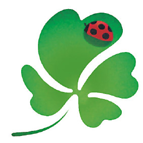 上野の森整骨院