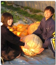 伊達市農業協同組合