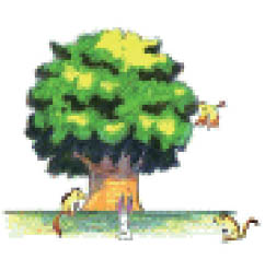 社会福祉法人 敬和会