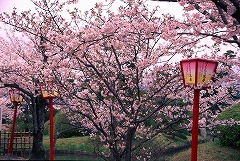 小城公園