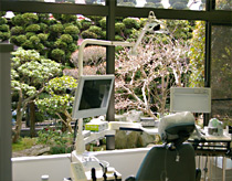 大岸歯科クリニック