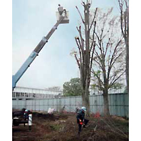 株式会社渡城造園