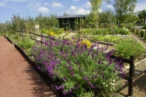 ヴィラテストガーデンファームアンドワイナリー