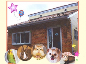 日光どうぶつ病院