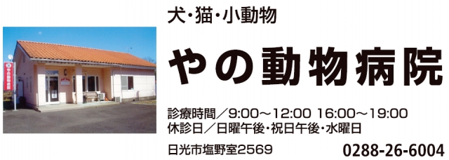 やの動物病院