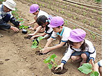 森が丘幼稚園