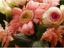 宮尾クリニック