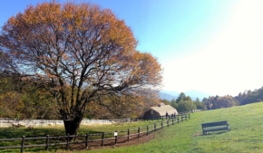 まきばレストラン