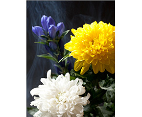 門井佛具店 上大岡店